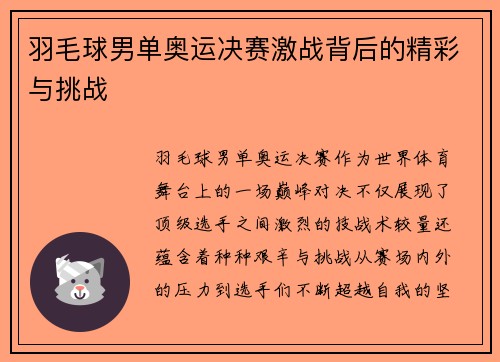 羽毛球男单奥运决赛激战背后的精彩与挑战